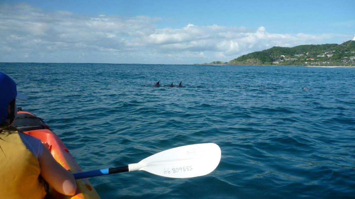 osoba na paddleboardu ve vodě
