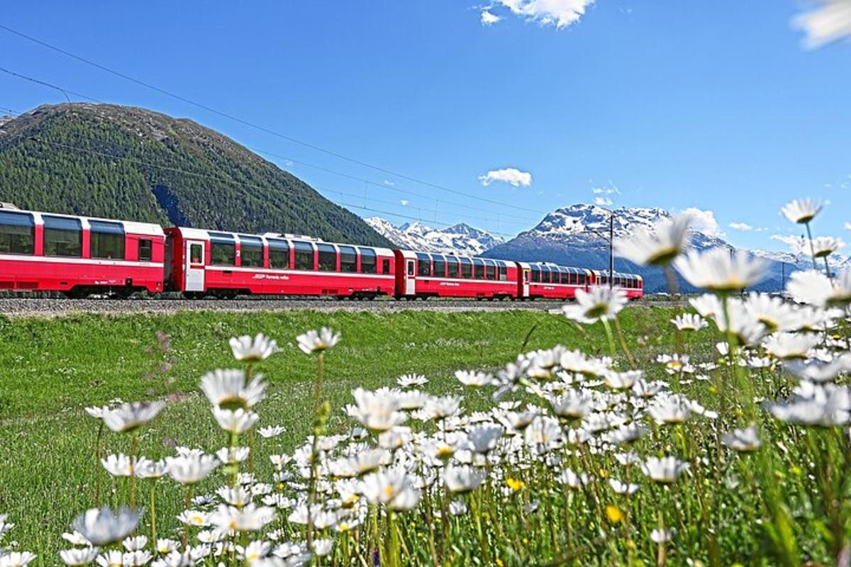 et rødt tog som reiser gjennom et blomsterfelt