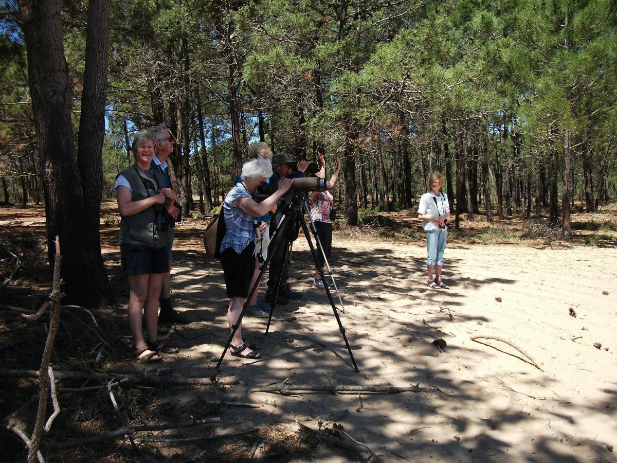 un gruppo di persone che scattano foto in una foresta
