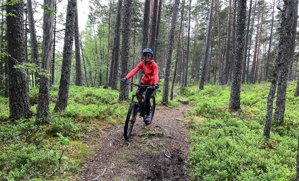 a person riding a bike on a trail in the woods