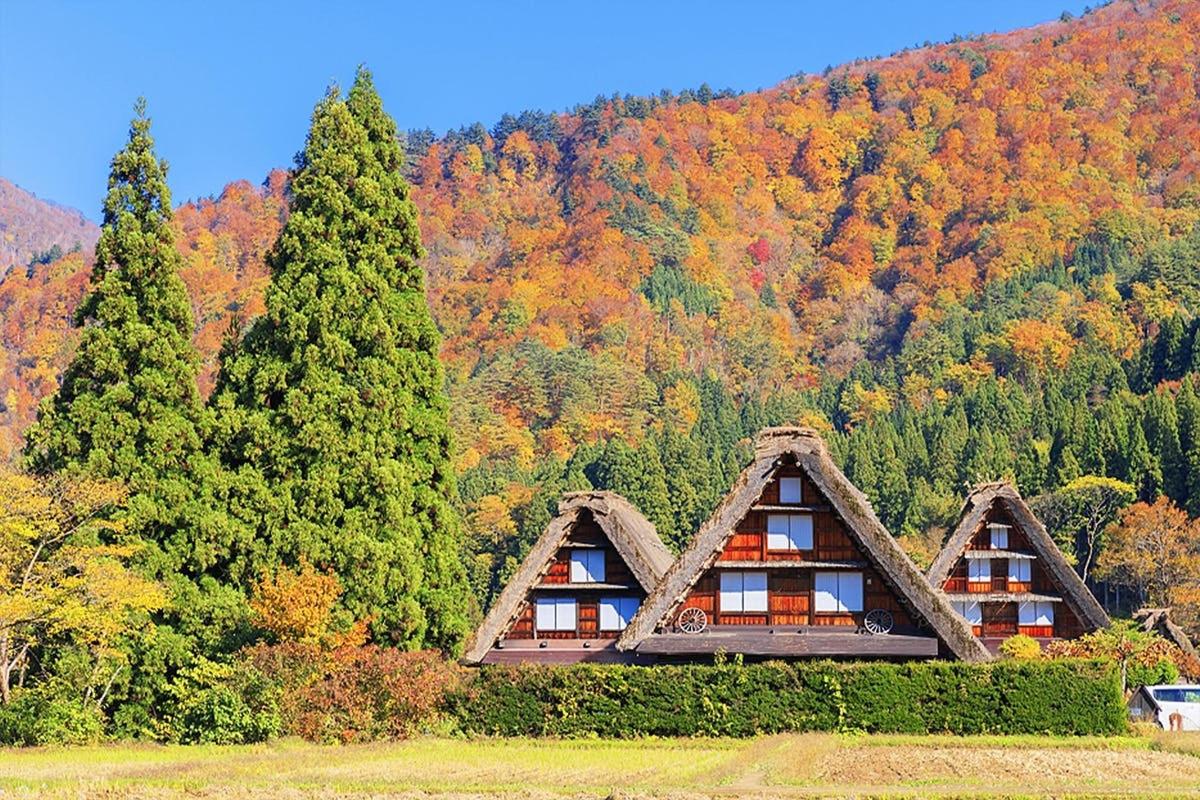 a house in the middle of a field with trees