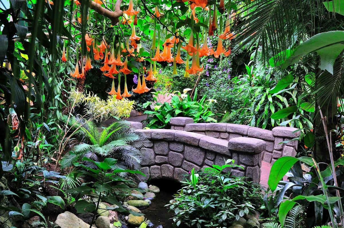 a garden with a stone bridge and orange flowers