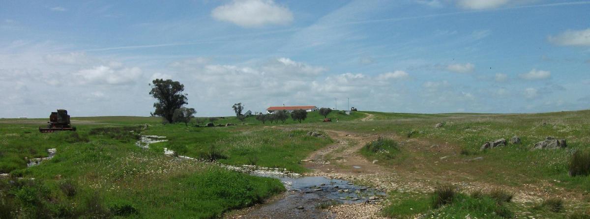 travnaté pole s prašnou cestou a řekou