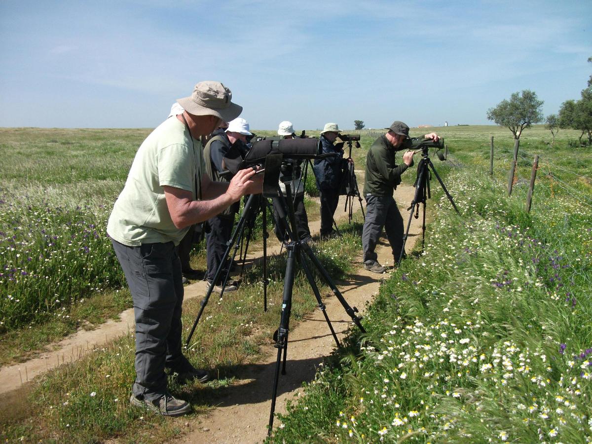 un gruppo di uomini in piedi in un campo con le telecamere
