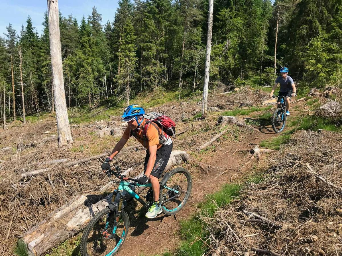 due persone in bicicletta su un sentiero nel bosco
