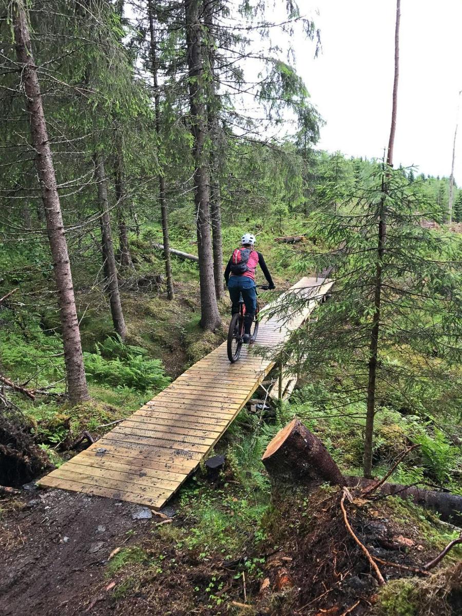 inimene sõidab jalgrattaga metsas asuval puusillal