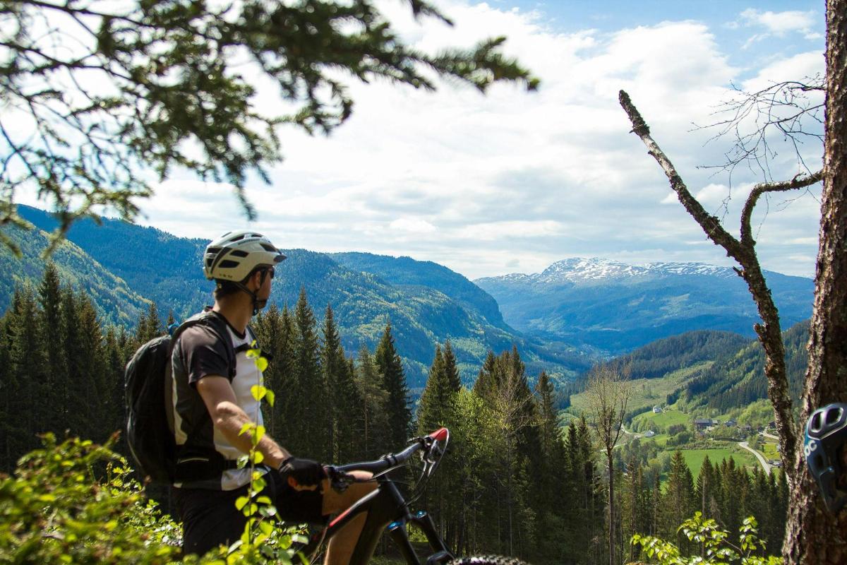un uomo in piedi con una bicicletta su una montagna