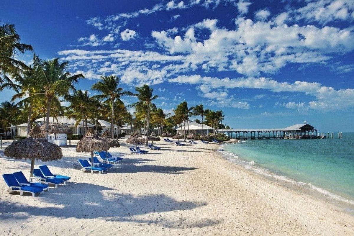 plaža z ležalniki, palmami in pomolom