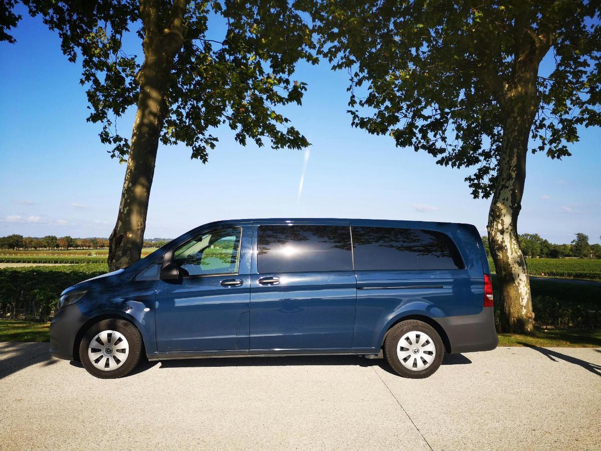 moder kombi parkiran na pločniku poleg dreves