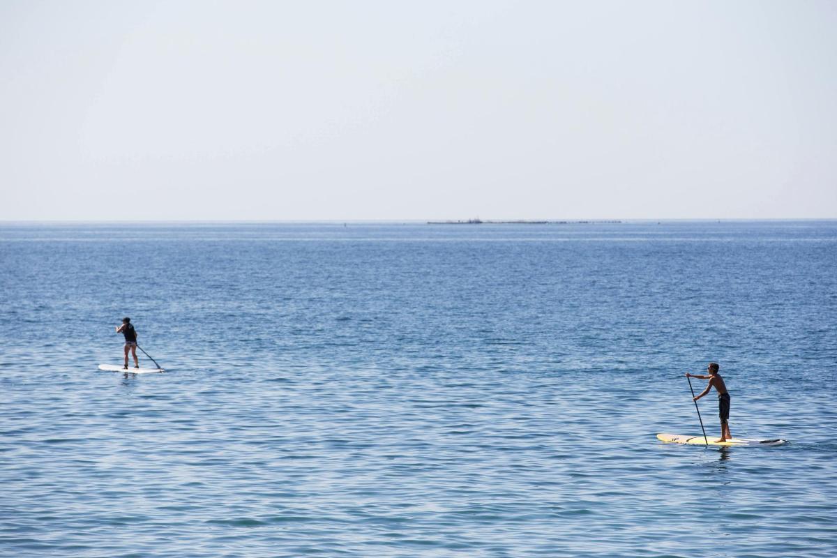 două persoane sunt pe plăci de paddle în apă