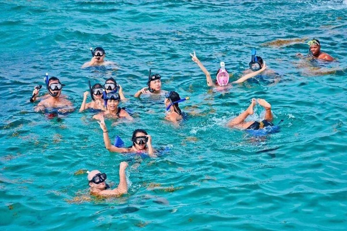 a group of people swimming in the water