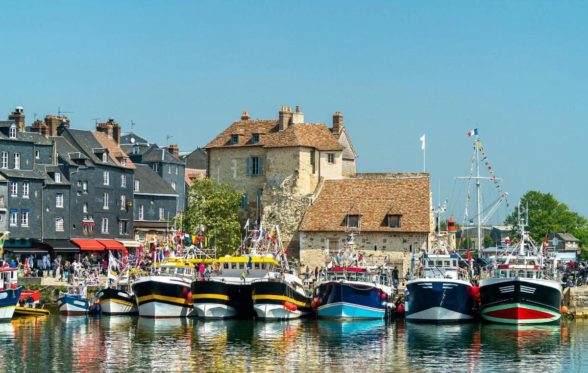 a group of boats are docked in a harbor