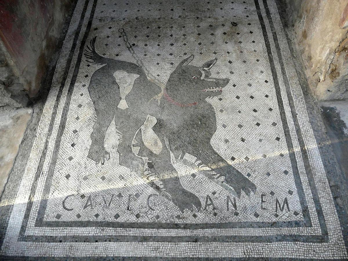 Un mosaico de un perro en el suelo.