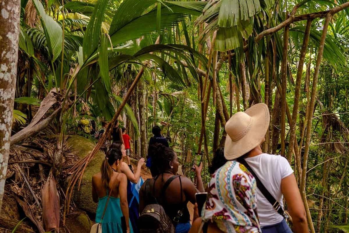 a group of people walking through the jungle