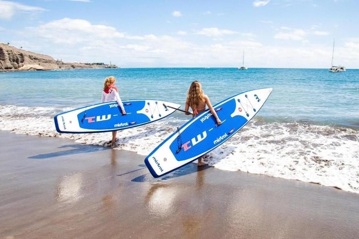 Dos chicas están paradas en la playa con tablas de surf.