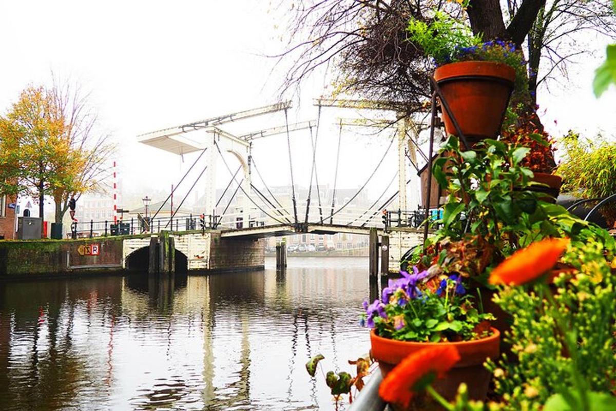 Un puente sobre un río con flores en macetas.