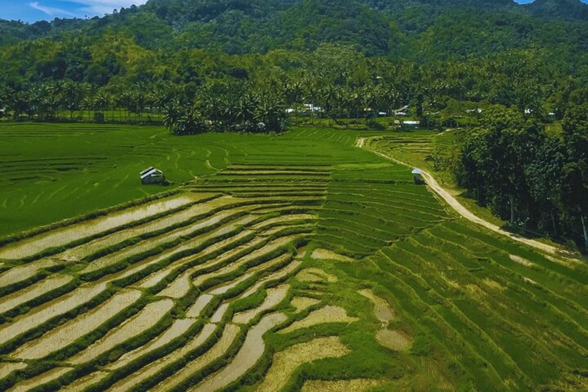 an aerial view of a green field with trees