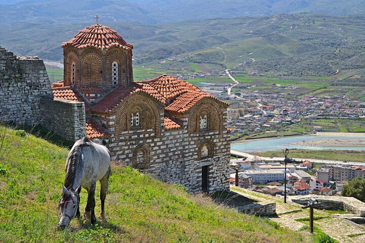 konj stoji na brdu pored crkve