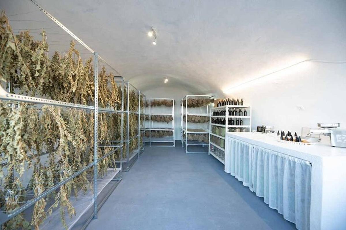 una stanza piena di scaffali pieni di bottiglie di vino