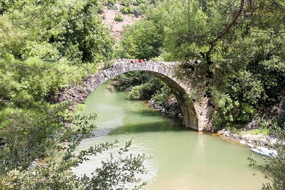 μια παλιά πέτρινη γέφυρα πάνω από ένα ποτάμι με δέντρα