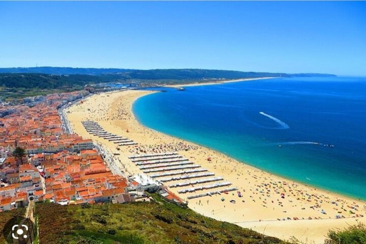 an aerial view of a beach and the ocean