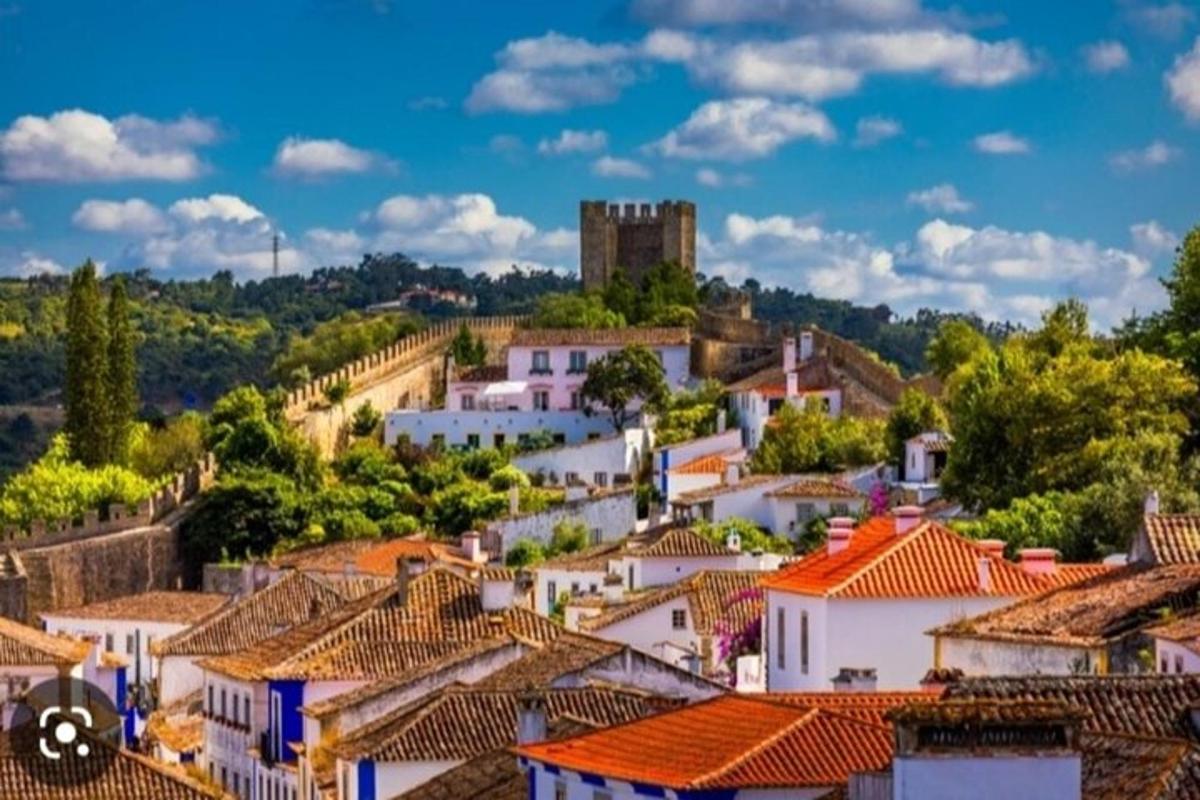 a view of a town with houses and a castle
