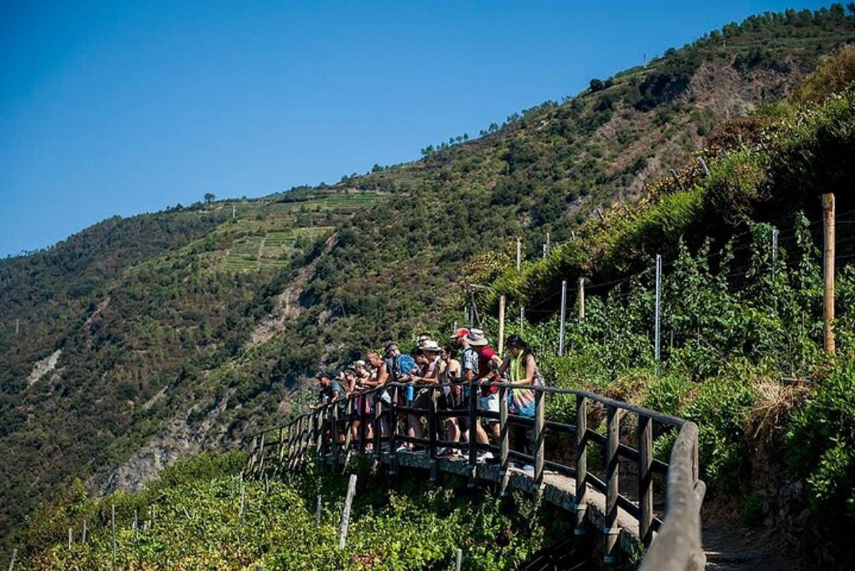 un grupo de personas en un puente sobre una colina