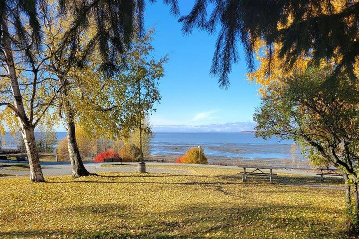 park se stromy a lavičkou na břehu oceánu