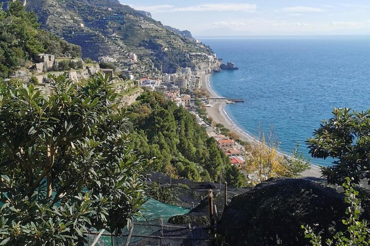 μια θέα σε μια παραλία και τον ωκεανό σε έναν λόφο