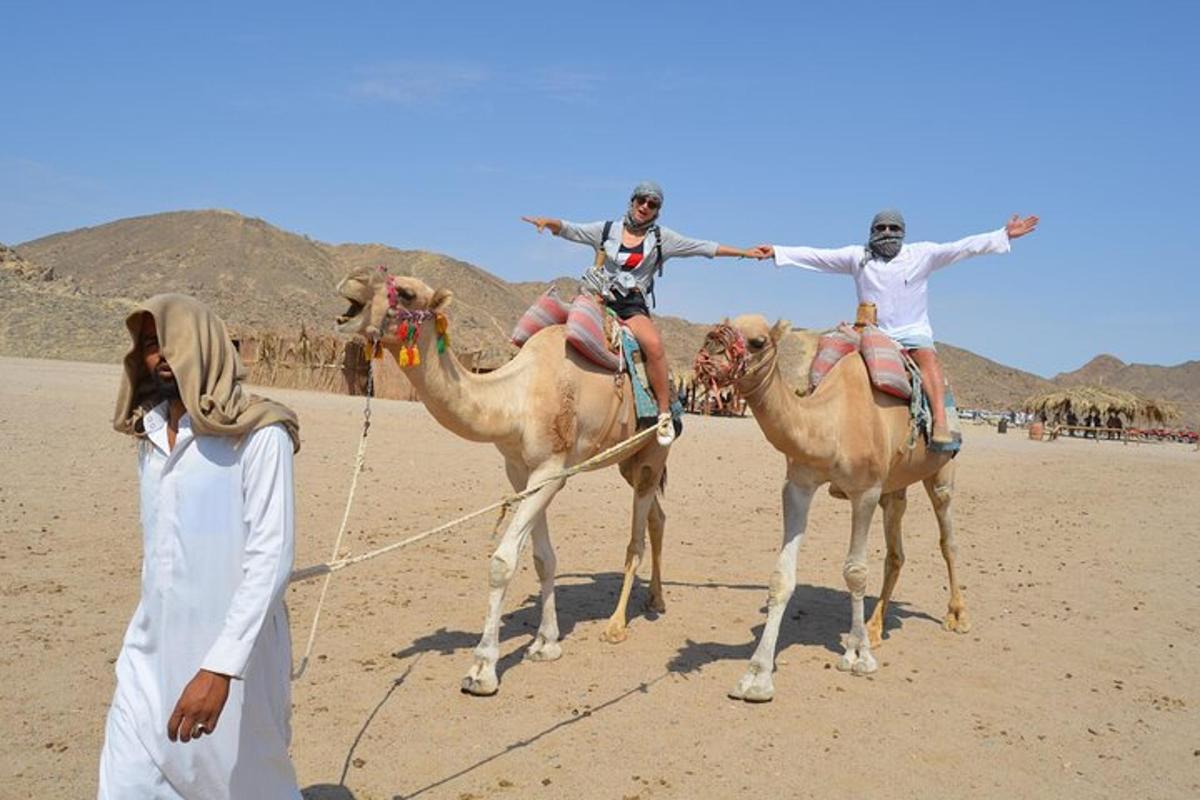 two people riding on the backs of camels in the desert
