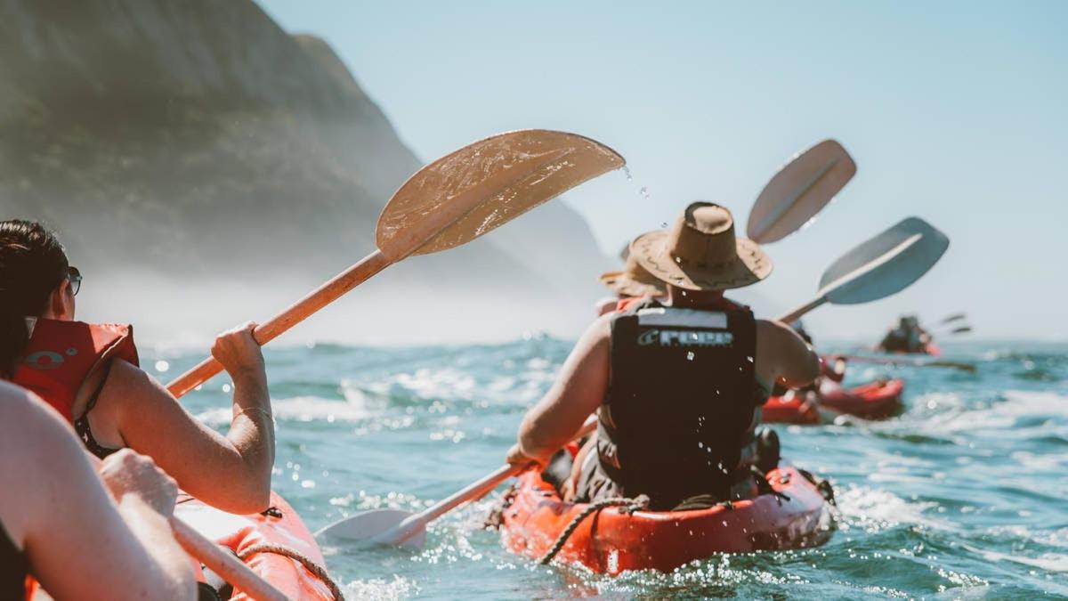 a group of people kayaking in the water