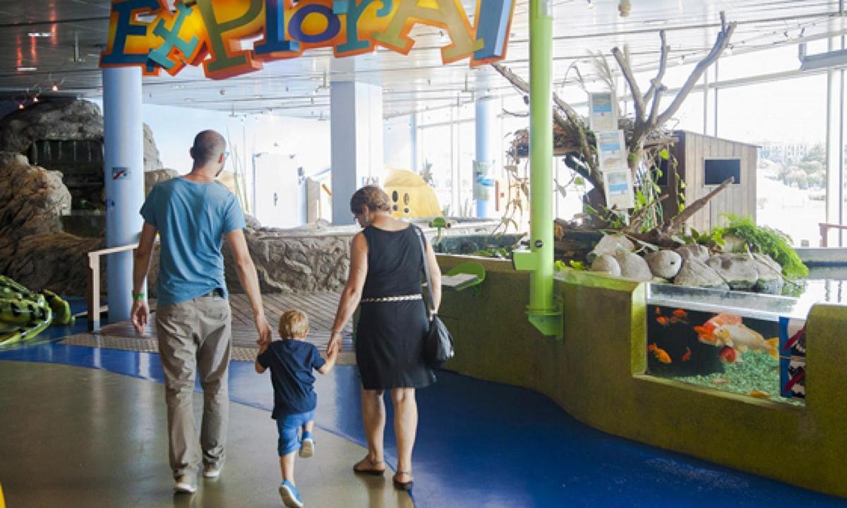 a man and a woman and a child walking through an aquarium
