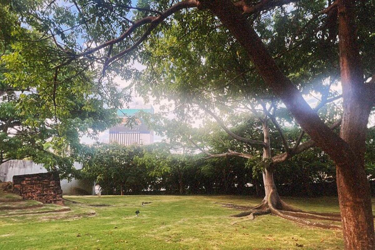a park with a tree and a building in the background