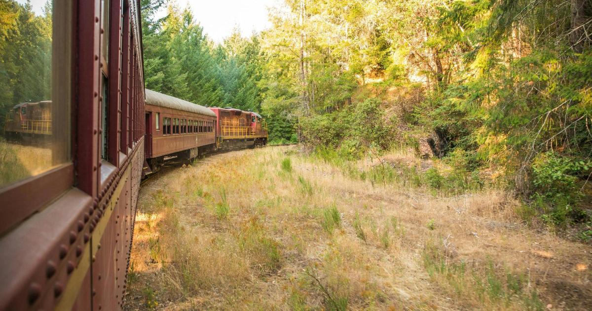 a train traveling down the tracks through a forest