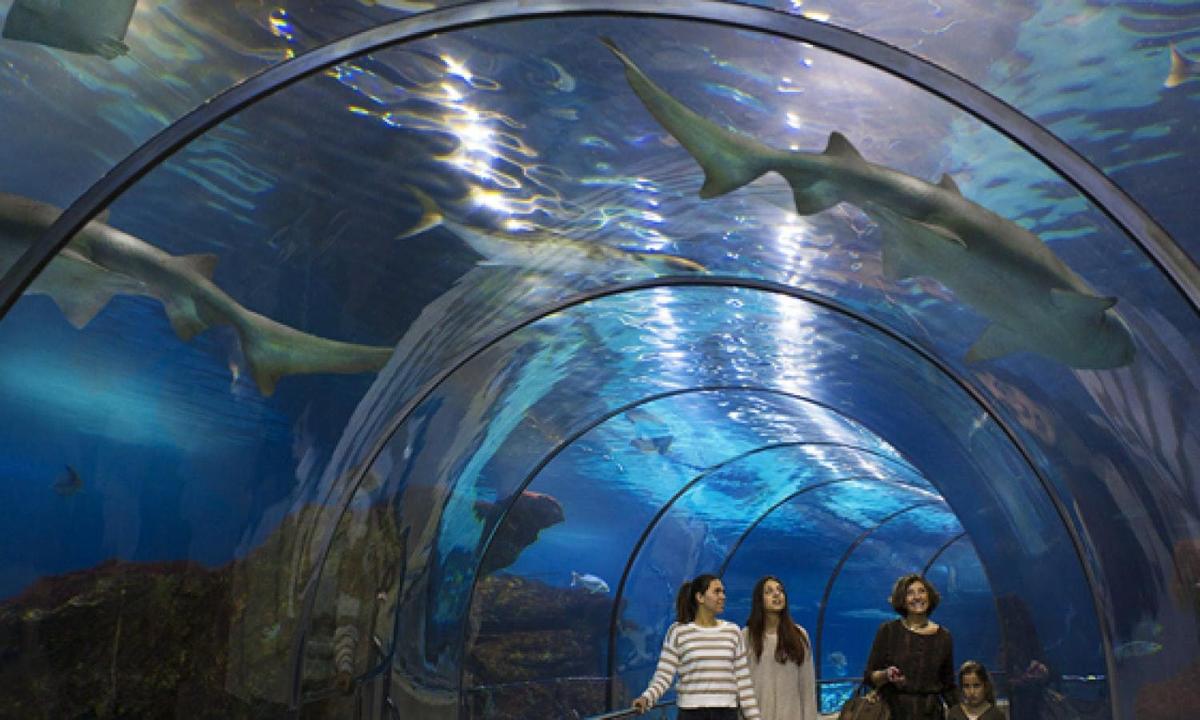 a group of people standing in front of an aquarium