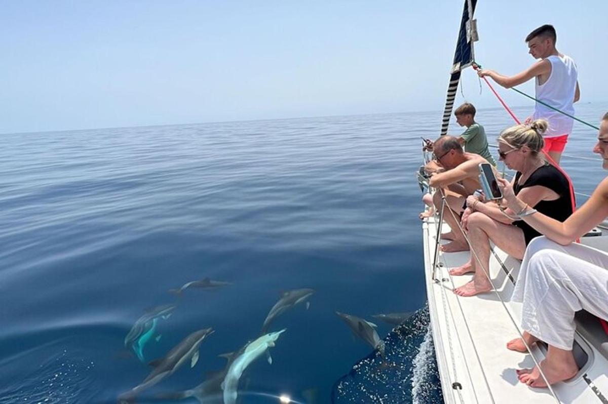 a group of people on a boat with sharks in the water