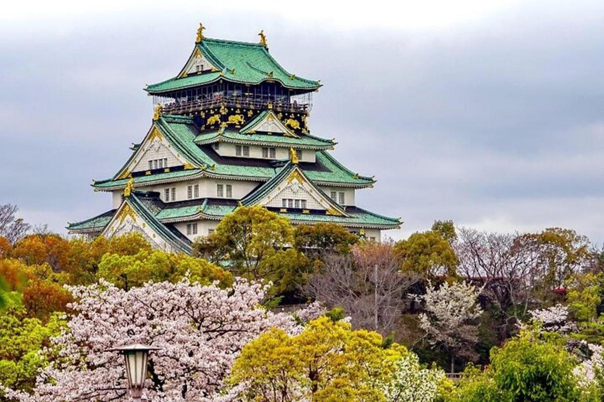 a japanese castle withakura trees in front of it