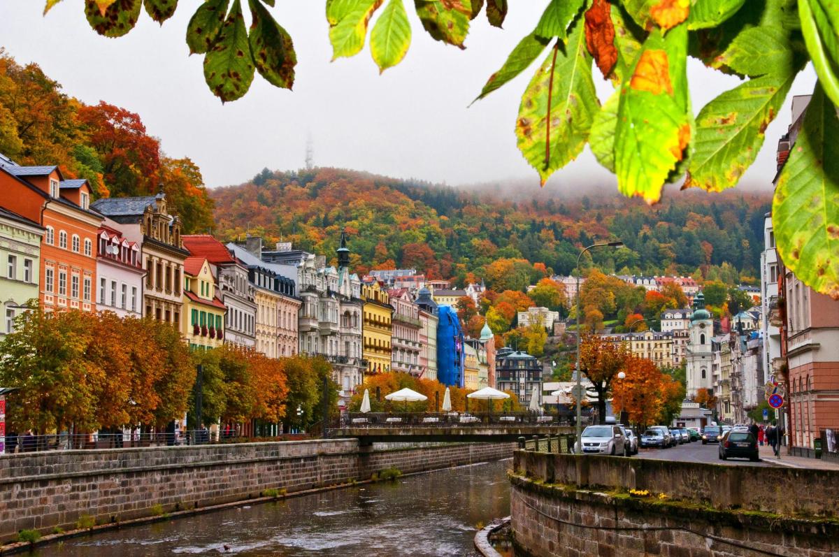una ciudad con un río y edificios y árboles