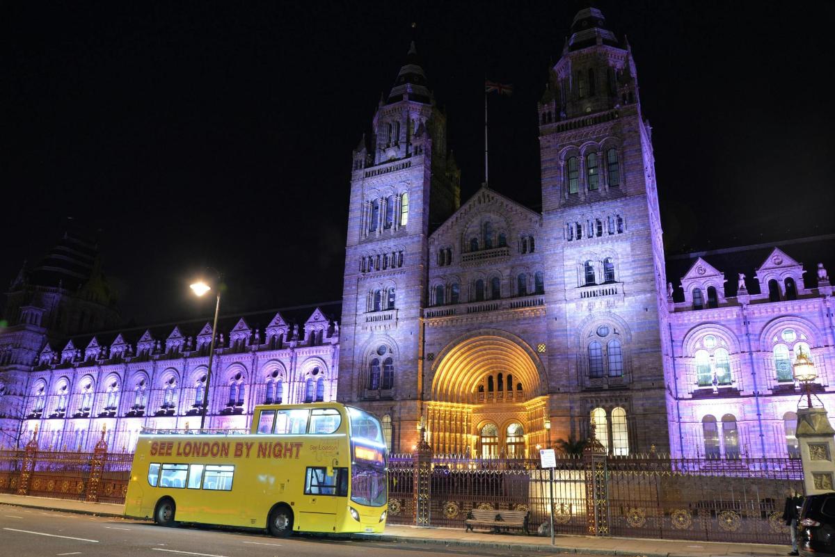 a yellow bus parked in front of a building at night