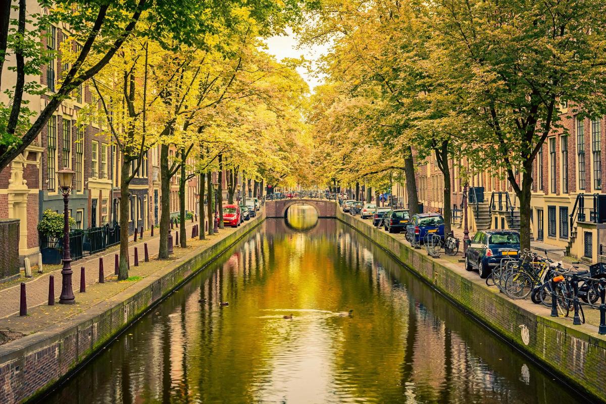 Un canal en una ciudad con árboles y coches.