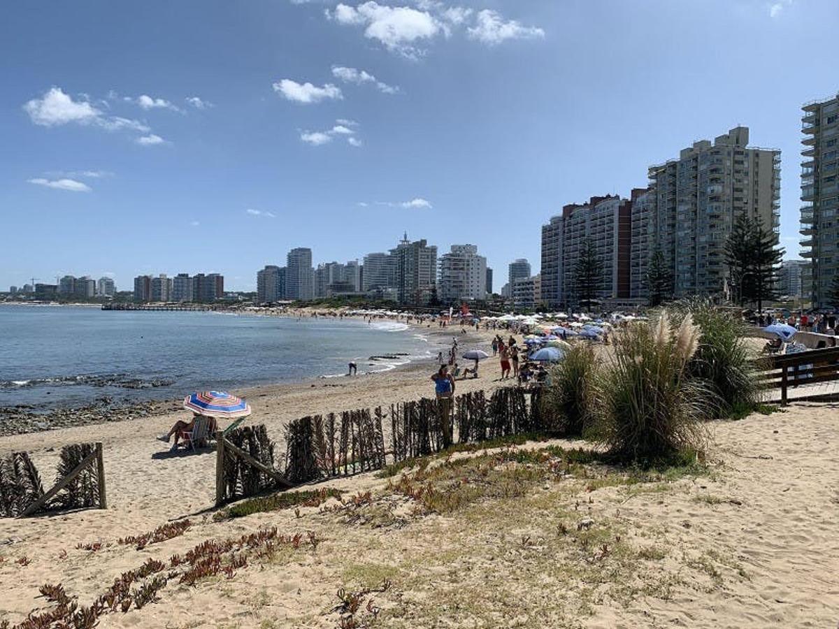 a beach with umbrellas and people on the sand