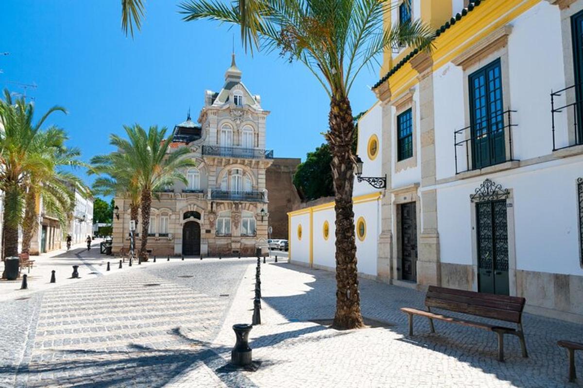 un edificio con una palma di fronte a una strada
