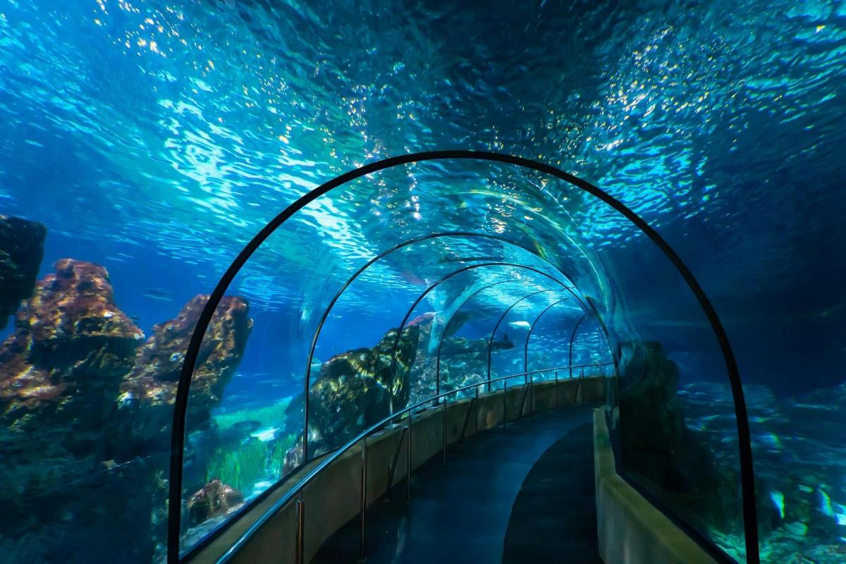 a tunnel in an aquarium with blue water