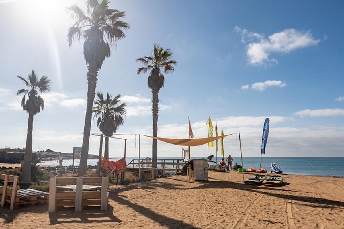 un groupe de palmiers sur une plage avec l'océan