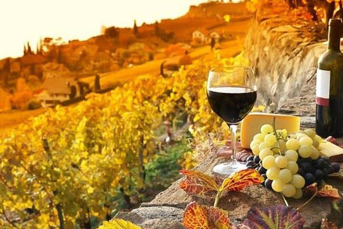 un bicchiere di vino accanto a un campo d'uva
