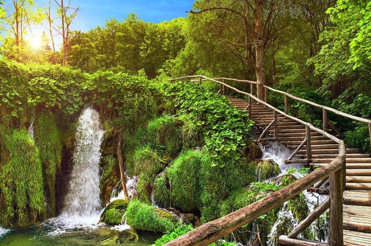 eine Treppe, die zu einem Wasserfall in einem Wald führt