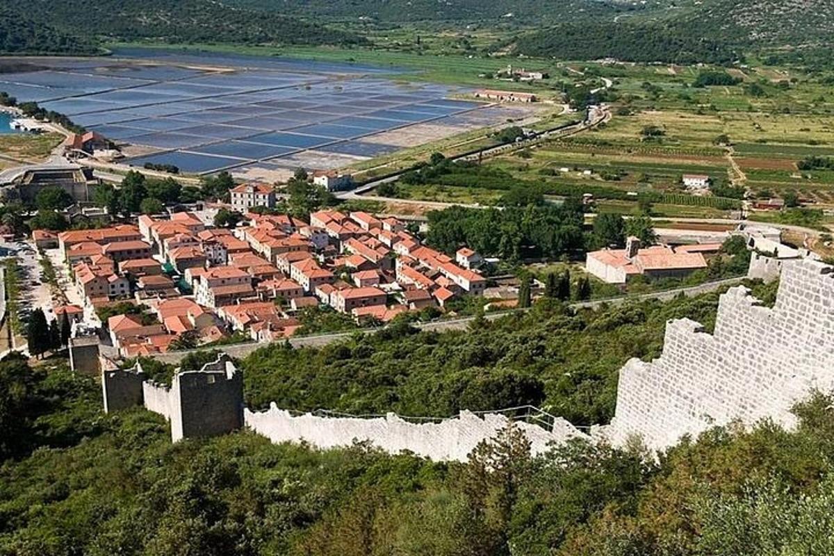 an aerial view of a village and a castle