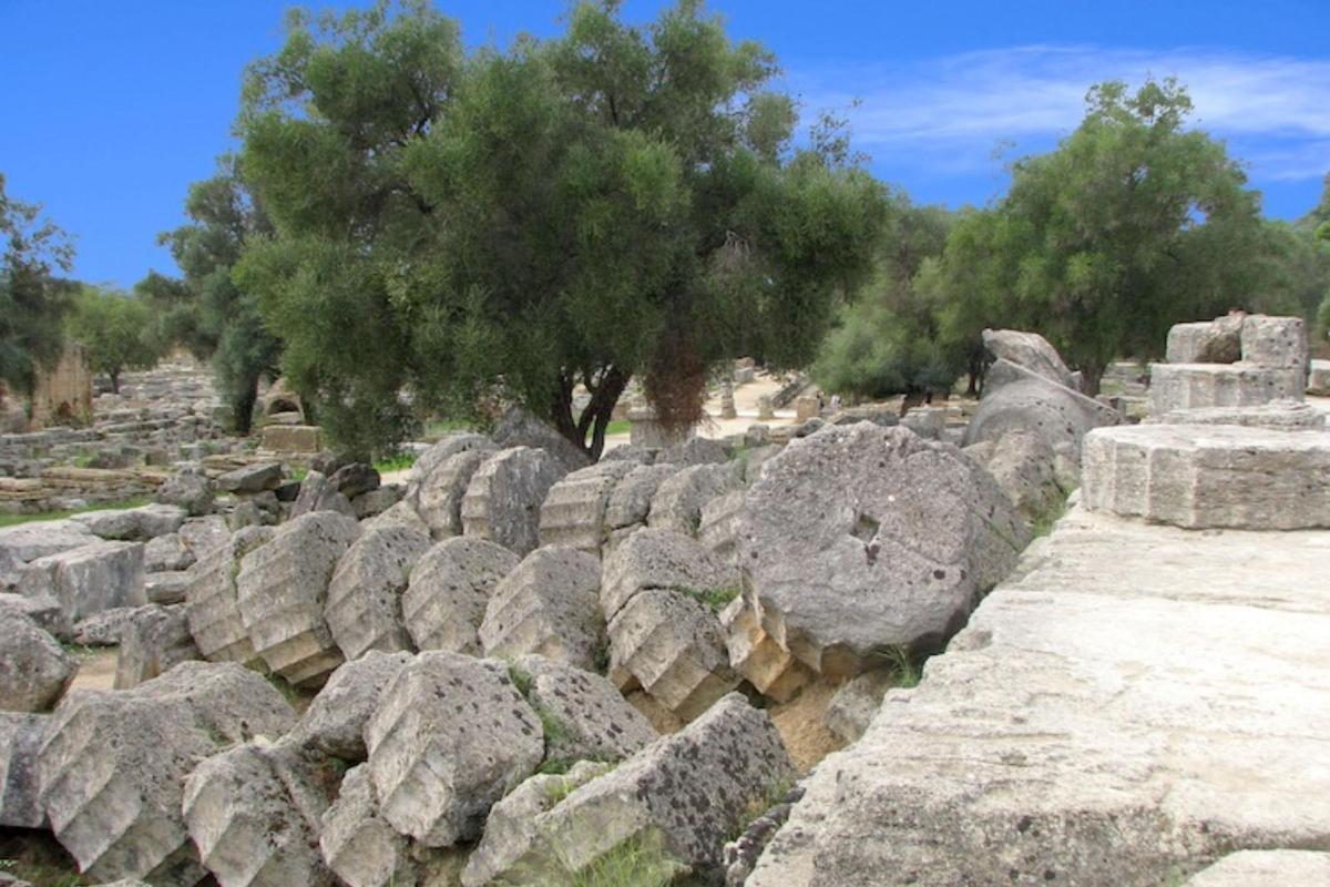 a pile of rocks with trees in the background