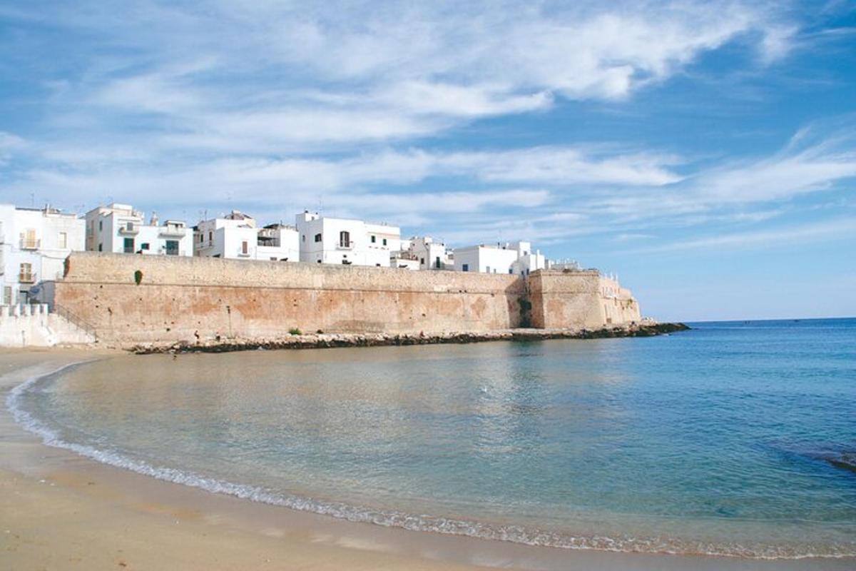 Una playa con un grupo de edificios blancos y el océano.