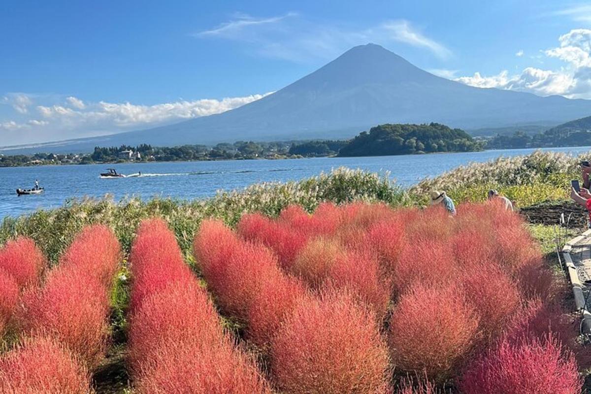 uma vista de um lago com uma montanha ao fundo